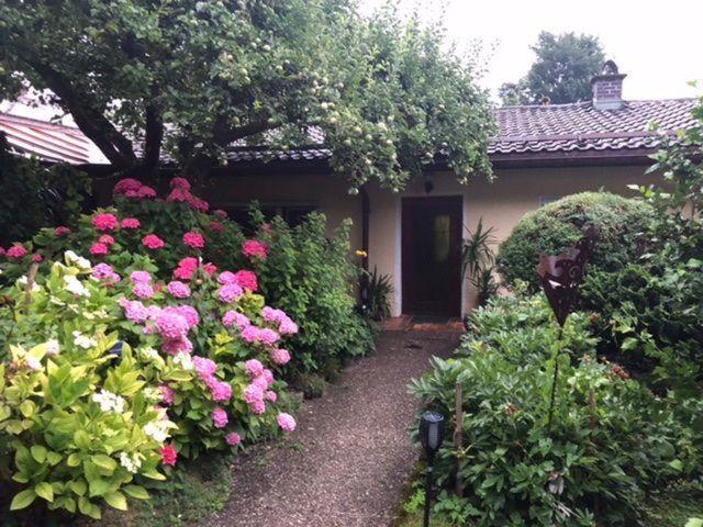 Ferienwohnung-2 巴特莱辛哈尔 外观 照片